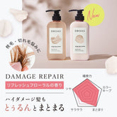 DROAS Damage Repair Treatment Breezy Sabon 400g